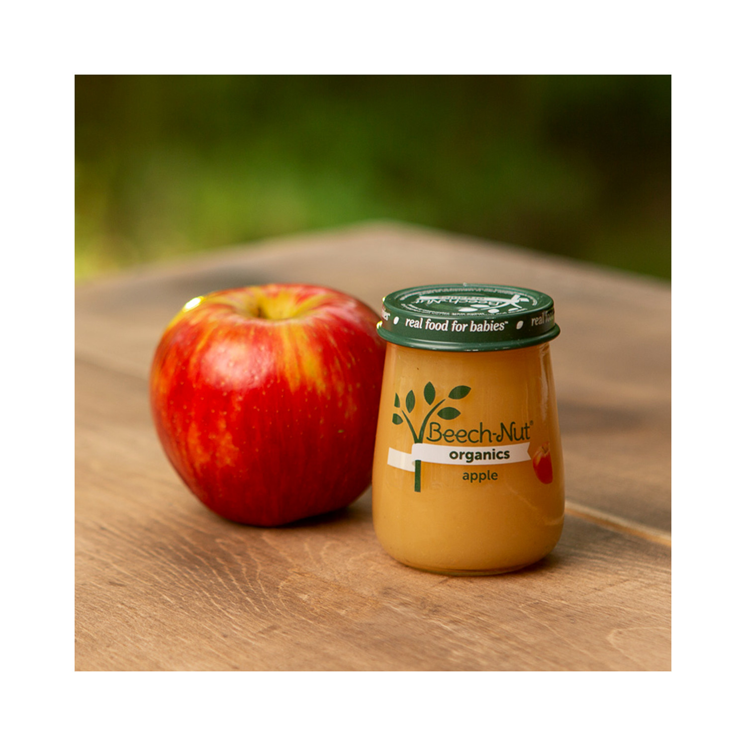 Beech-Nut Organics Stage 1 Organic Baby Food, Apple, 4 oz Jar