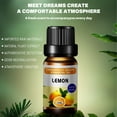 thumbnail image 3 of 6*10ml Essential Oils Set - Top 6 Blends for Diffusers, Home Care, Home Fragrances, Candle Making Scents, Fragrance, Aromatherapy, Humidifiers, Gifts - Mint, Tea Tree, Lavender, Roses, Jasmine, Lemon, 3 of 11