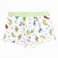 thumbnail image 4 of UAYOTSE Boys Cotton Boxer Briefs Dinosaur Polar Bear Toddler Kids Underwear,Sizes 2-3 Years, 4 of 4
