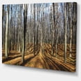 thumbnail image 2 of Shade from Sun in Autumn Forest - Art sur Toile Forêt Moderne, 2 of 4