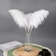 thumbnail image 5 of Kit de plumas de avestruz Ballinger 10 piezas, 71 cm, grandes, blancas, 5 of 7