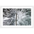 thumbnail image 2 of Marmont Hill "Amid The Cold" By Karolis Janulis Framed Painting Art Print, 30.0" x 1.5", 2 of 2