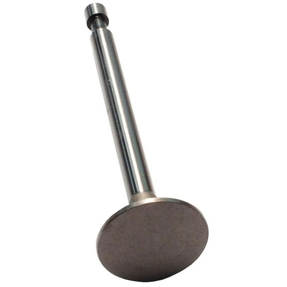 Briggs & Stratton 296677 Intake Valve