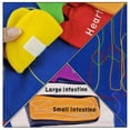 thumbnail image 5 of Delantal de órganos 3D, delantal de órganos del cuerpo humano, herramienta educativa de concienciación, juguete para niños, delantal de disfraz de anatomía, vísceras rellenas de felpa, 5 of 5