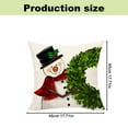 Walmart+ Chrismas Savings Pillow Cases Queen Size Set of 2, Pgeraug