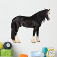 thumbnail image 1 of Shire Horse Standing against Wall Mural by Wallmonkeys Peel and Stick Graphic (48 in W x 41 in H) WM280133, 1 of 4