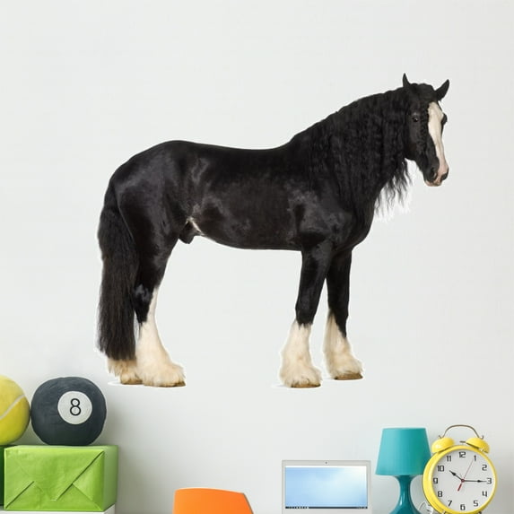 Shire Horse Standing against Wall Mural by Wallmonkeys Peel and Stick Graphic (48 in W x 41 in H) WM280133
