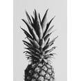 thumbnail image 2 of 1x Studio III 17x24 Black Ornate Wood Framed with Double Matting Museum Art Print Titled - Pineapple Black A White 02, 2 of 4
