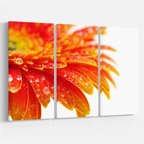 Designart - Orange Gerbera with Raindrops - Floral Canvas Art Print