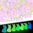 thumbnail image 5 of Glow in The Dark Bunny Figurines - 70 Pcs, Mini Resin Animals for Aquarium & Fairy Garden Decor, Gifts(DSF), 5 of 7