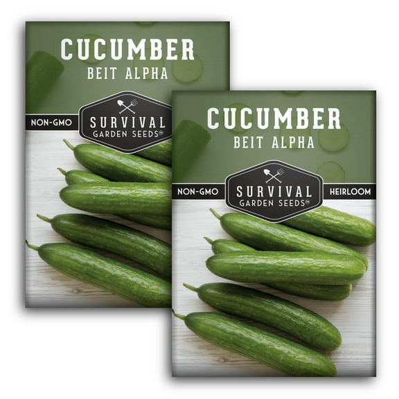Beit Alpha Cucumber Seeds - Non-GMO Heirloom Full Sun Annual Vegetable - 2 Packs