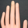 thumbnail image 3 of UDIYO Salon Manicure Nails Art Hand Training Practice Finger Stand Display Model, 3 of 6