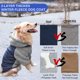 thumbnail image 2 of Abrigo para perro con gorro extraíble, abrigo grueso y cálido de invierno de forro polar para perro, ropa reflectante para perro con patas, suéter azul para perro, talla S, 2 of 5