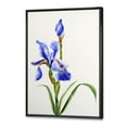 thumbnail image 3 of Designart 'Blue Iris Flower Retro Style' Traditional Framed Canvas Wall Art Print, 3 of 5