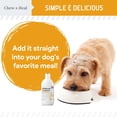 thumbnail image 4 of Chew + Heal Norwegian Salmon Oil for Dogs - 8 oz, Fish Oil for Dogs Skin and Coat - Omega 3, 4 of 8
