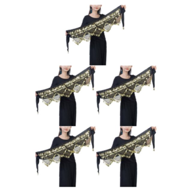 Guardurnaity Cadena de cintura de danza del vientre portátil de cinco capas de lentejuelas moneda cadera bufanda accesorios disfraces rendimiento Type2 NO2