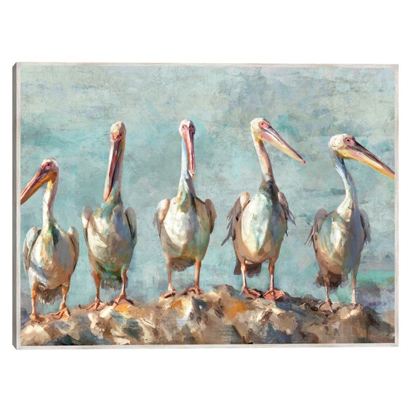 Cuadro Decorativo - Pausa pelícano Jr Impresión en canvas, estrechado