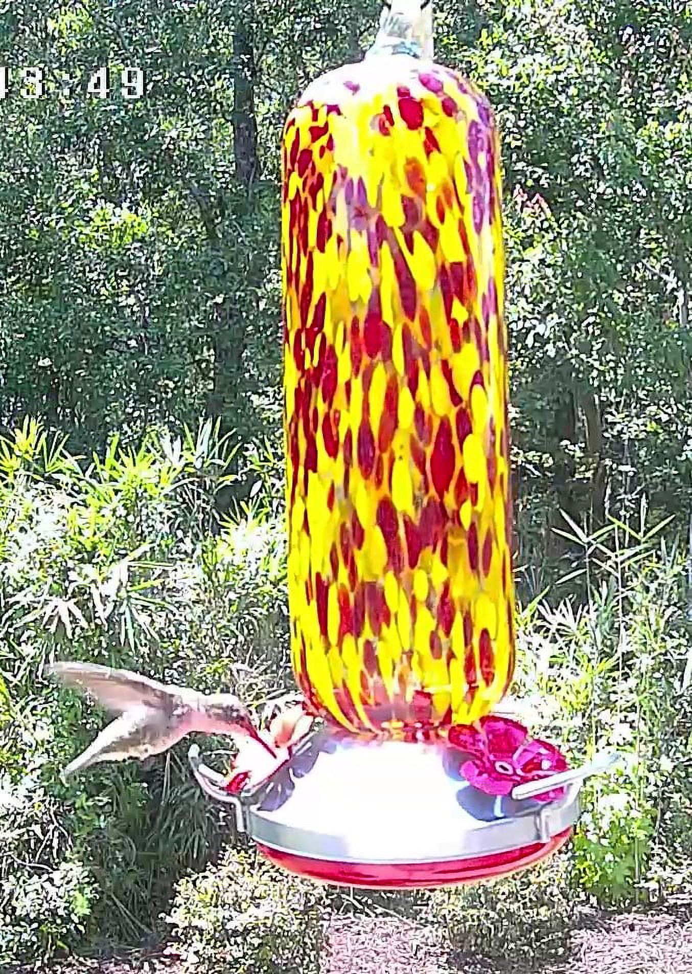 Griffin Products 29 oz. Red Hand-Blown Glass Hummingbird Feeder