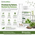 thumbnail image 7 of VH Nutrition FOLLIFORM DHT Blocker for Men & Women 1500mg - Supports Healthy Hair Growth, Scalp Health, Maximum Strength Hair Loss Treatment - 60 Capsules, 7 of 7