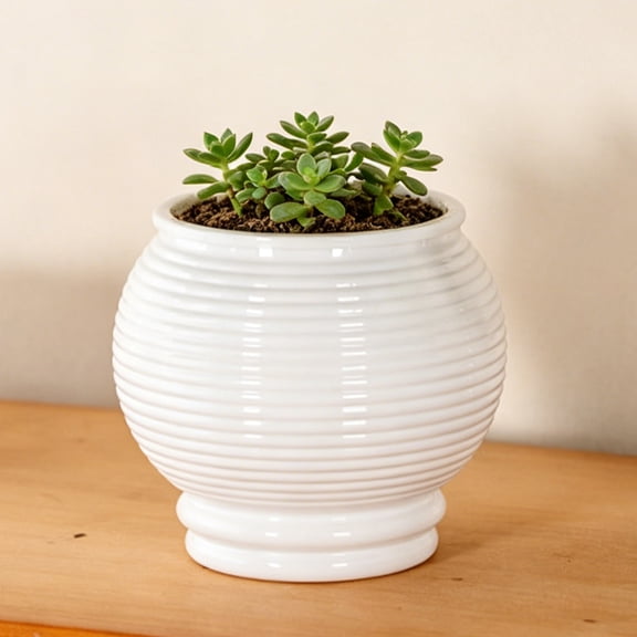 mdesiwst Self Watering Pot for Indoor Plants Small Plastic Flower Plant Pot with Wick Rope And Reservoir for African Violet Spider Plant Orchid