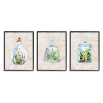 Stupell Industries Enclosed Succulent Jars Rustic Charm Greenery Illustration Framed Wall Art Design by Sherri Buck Baldwin, 3 Piece, 11" x 14", Black Framed