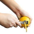 WALFRONT Fruit Zester Citrus Scraper Peeler,Stainless Steel Lemon Lime