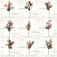 thumbnail image 4 of Ensemble de 37 Pcs de Pics Floraux Artificiels de Noël: Baies Rouges Assorties, Branches de Sapin de Noël, Faux Pin, Tiges de Houx avec Pommes de Pin pour Couronne, Guirlande et Arrangement Floral, 4 of 5