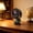 #4Gray, variant on Rechargeable Clip On Fan with 3 Light Modes, 2400mAh Battery, 3 Speeds Quiet USB Clip Fan, Secure Clip for Desk Stroller Crib, LED Night Light for Office Bedroom Camping