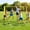 Yellow, variant on LEDREM 13ft Wide Multi-Sport Net with Adjustable Height, Portable Foldable Design for Badminton, Volleyball, Pickleball & Junior Tennis, Yellow