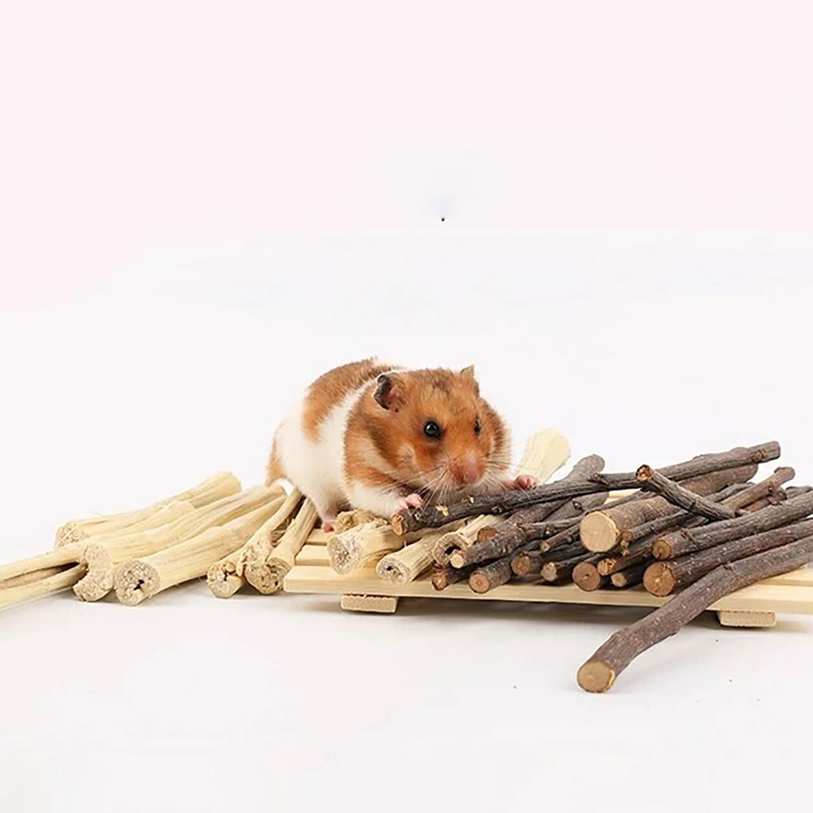 EHJRE Natural Hamster Chew Sticks, Molar Twigs, Accessories, Bunny Branches Rat Toys, Wood for Rodent Animals Groundhog Squirrels Treats