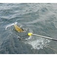 thumbnail image 2 of Frabill Conservation Telescoping Handle Net, 2 of 5