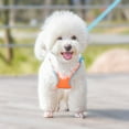 thumbnail image 3 of Reflective Nylon Pet Dog Harness For Small Large Dogs Breathable Adjustable Pet Cat Vest Outdoor Walking Dogs Chest Strap, 3 of 5