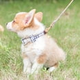 thumbnail image 7 of Plaid Dog Collar and Leash Set Cute Bow Tie&Bandana Necktie Adjustable Leather Small Dog Collars, 7 of 7