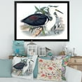 thumbnail image 3 of Designart 'Ancient Birds Of Australia' Traditional Framed Art Print, 3 of 4