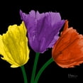 thumbnail image 2 of Koetsier, Albert 12x12 Gold Ornate Wood Framed with Double Matting Museum Art Print Titled - Shiny Jewel Tulips 3, 2 of 4