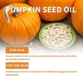 thumbnail image 3 of Organic Pumpkin Seed Oil, 100% Pure Cold Pressed Pumpkin Seed Oil for Hair Boost, 3 of 5