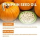 thumbnail image 3 of 1-3PCS Pumpkin Seed Oil for Hair 60ml, Organic Pumpkin Seed Oil Cold Pressed Oil, 3 of 5