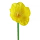 thumbnail image 5 of Wosthever Mini flor artificial, ramo de boda floral falso, decoración para ceremonia del jardín del hogar Flores artificiales, 5 of 6