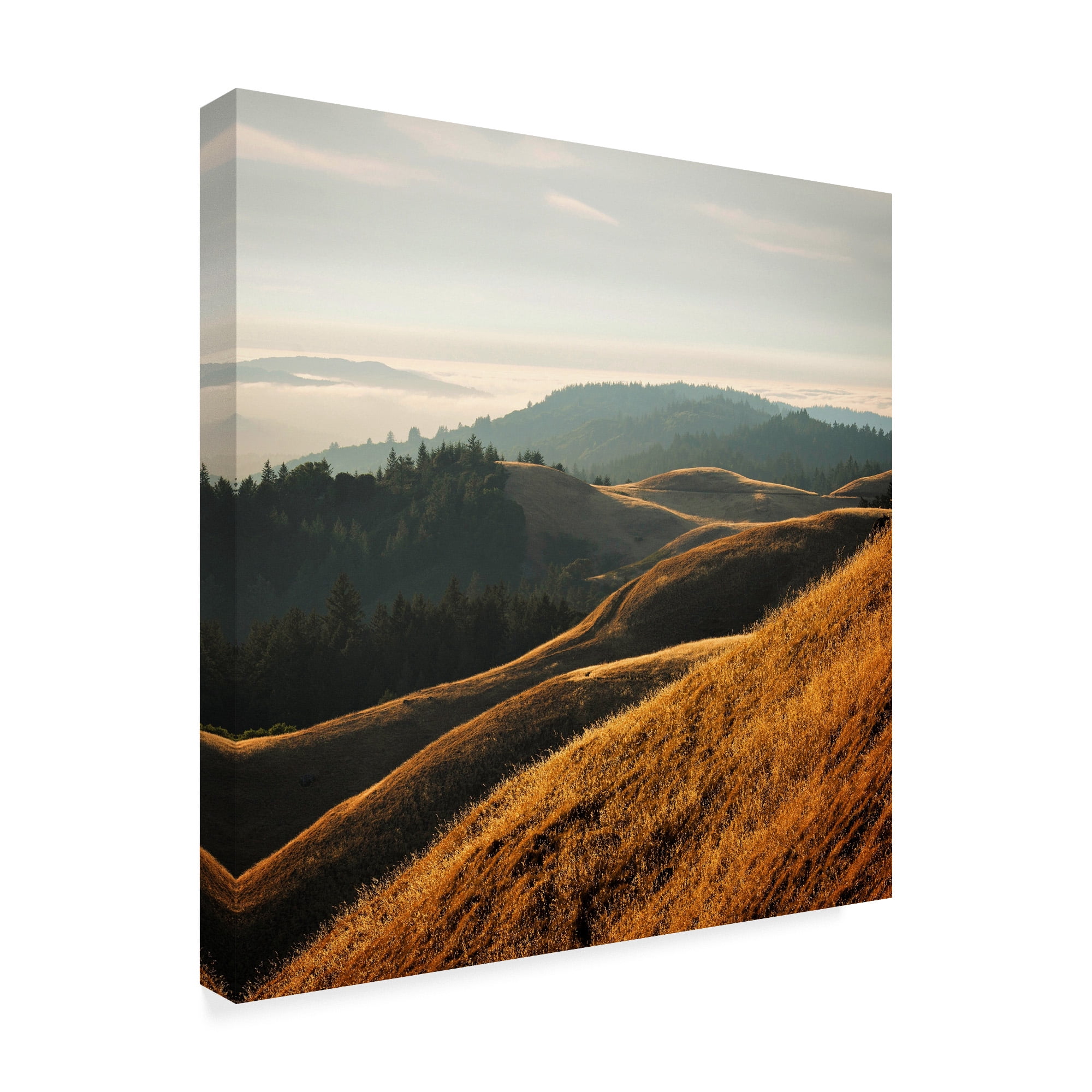 Trademark Fine Art 'Marin Hills' Canvas Art by Lance Kuehne
