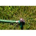 thumbnail image 3 of Aspersor rotativo Rain Bird RVANSP Pro ajustable de 5,2 a 7,3 m, 3 of 4