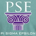 thumbnail image 3 of CafePress - Pi Sigma Epsilon Pillar Logo T Shirt - Mens Comfort Colors Shirt, 3 of 5