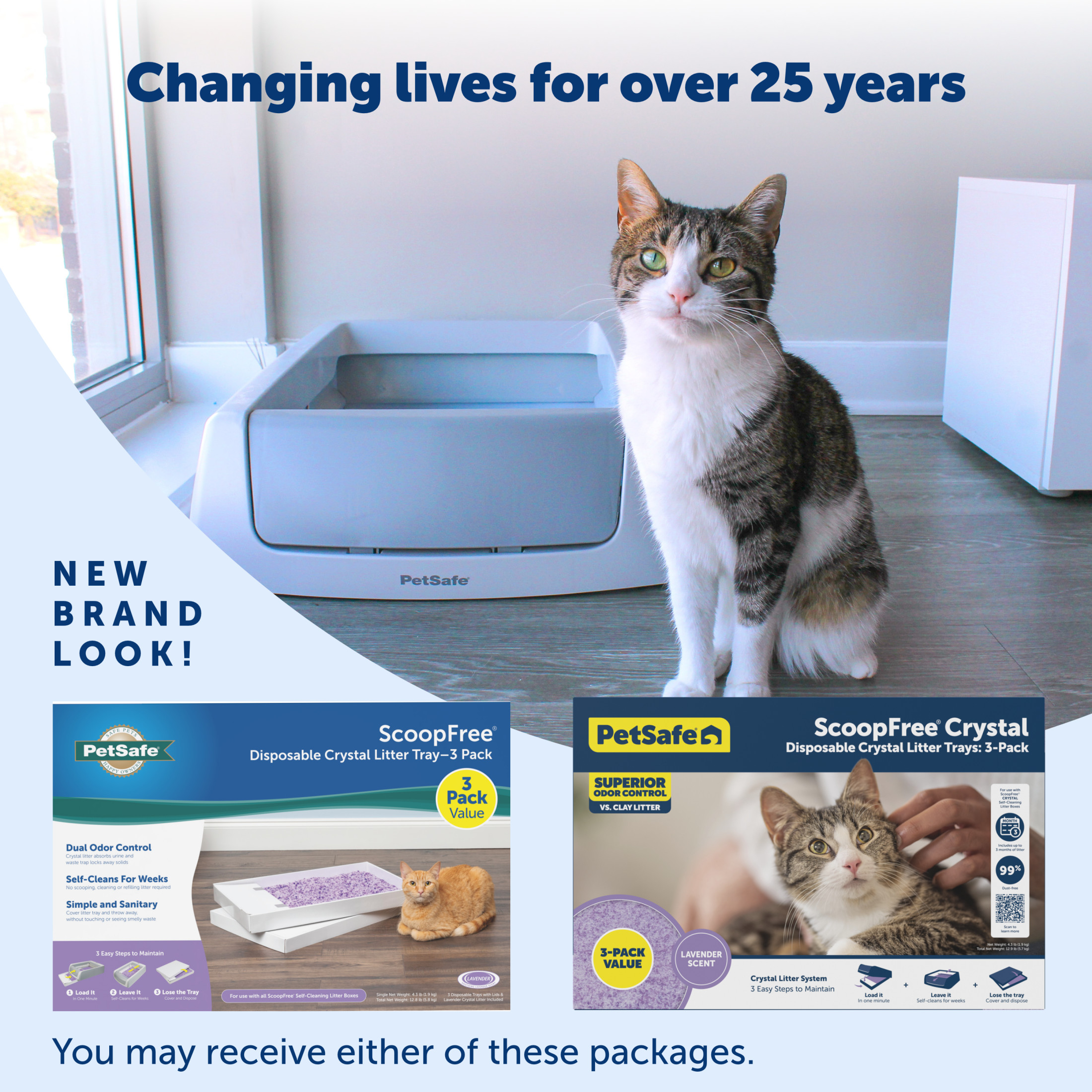 PetSafe ScoopFree Crystal Litter Trays, 3-Pack, Lavender photo 6