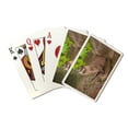 thumbnail image 1 of River Otter on Shore, Lantern Press, Premium Playing Cards, 52 Card Deck with Jokers, USA Made, 1 of 4