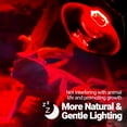 thumbnail image 6 of ECOSUB 150W Reptile Heat Lamp Bulb, Infrared Basking Spot Light for Reptiles & Amphibian 2 Pack Red, 6 of 7