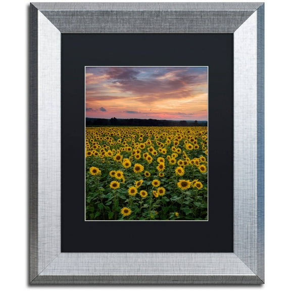 Trademark Fine Art "Sunflowers" Canvas Art by Michael Blanchette Photography Black Matte, Silver Frame
