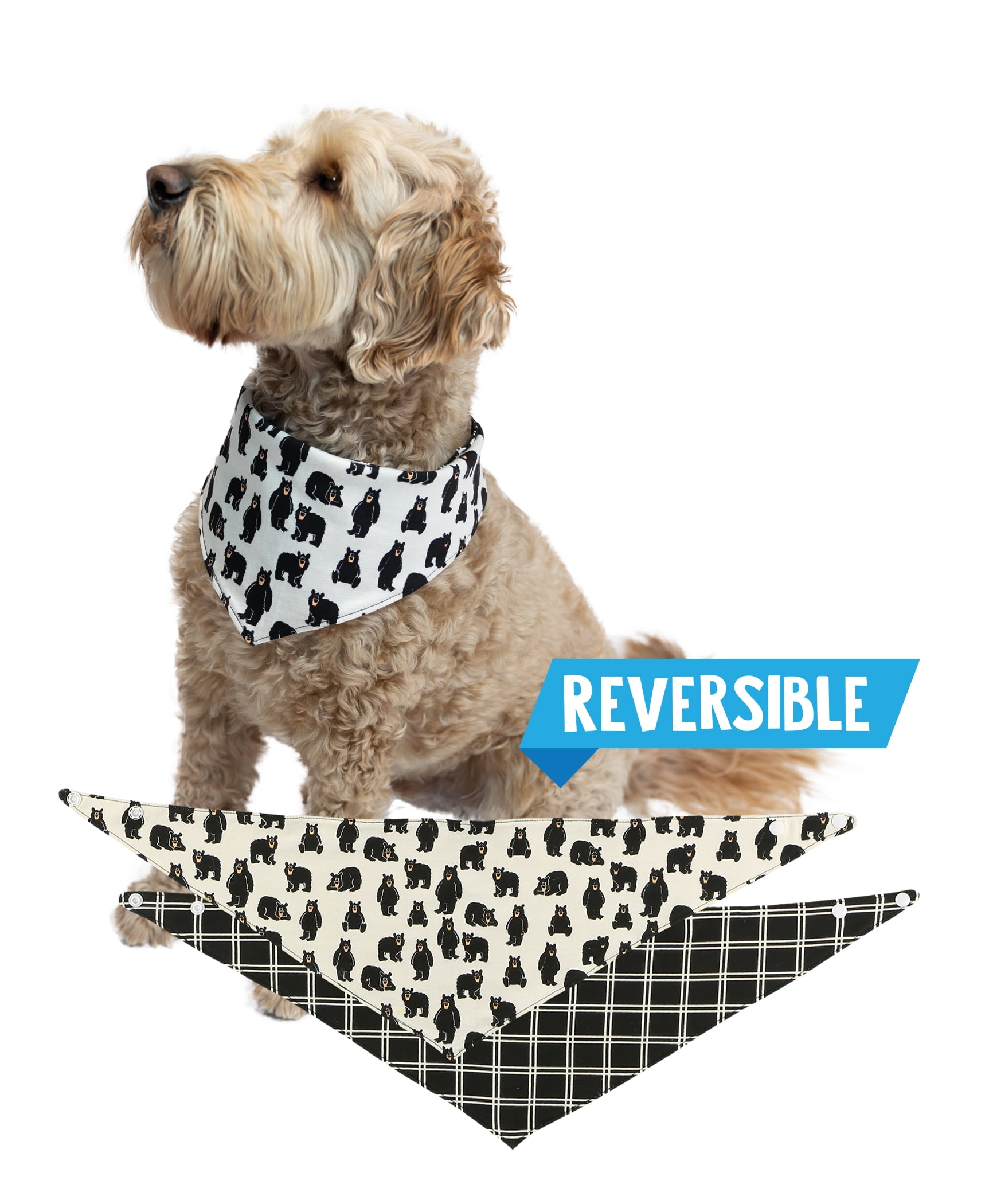 Slip-On Collar or Snap Button Donuts and more Donuts! Reversible Bandana