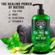thumbnail image 4 of Gel de baño Viking Revolution con aceite de árbol de té para hombre, paquete de 2, 4 of 7