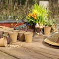 thumbnail image 5 of Juego de macetas biodegradables Yjmei para jardinería 50 piezas redondas 8 cm color beige, 5 of 5