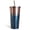 Blue-1, variant on Cancer 17oz Insulated Tumbler with Lid & Stainless Steel Straw – Double Wall 304 Stainless Steel, BPA-Free, Leak-Proof Travel Cup for Coffee, Tea, Juice, Constellation