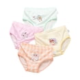 thumbnail image 1 of Akiihool Rubber Underwear for Potty Training Baby Girls Diaper Covers Ribbed Ruffle Solid Triangle Baby Girl Shorts Summer Toddler Underwear (Light Yellow,12-18 Years), 1 of 4